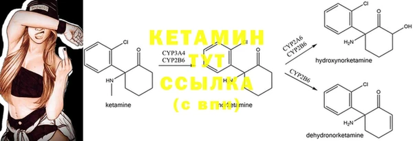 ПСИЛОЦИБИНОВЫЕ ГРИБЫ Армянск