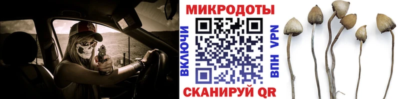 Псилоцибиновые грибы MAGIC MUSHROOMS  Боровичи 